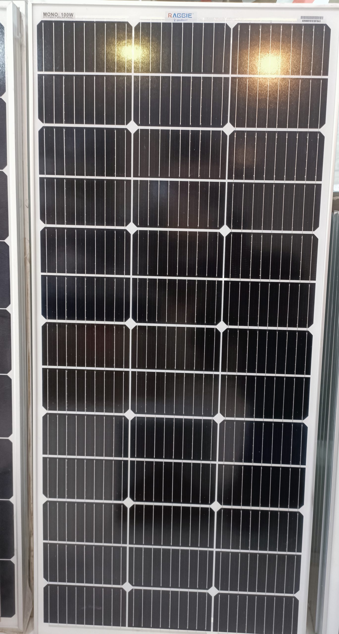 پنل خورشیدی 100 وات Raggie